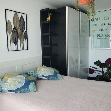 Appartement Cosy Entierement Equipe Toulouse Exterior foto